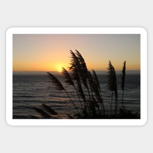 Central Coast Sunset Sticker